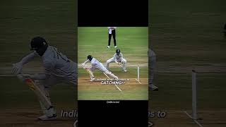 cricket reel reels viral [upl. by Raval981]