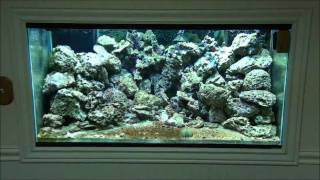 DIY LED Reef Aquarium Light  Part 3 [upl. by Damien]