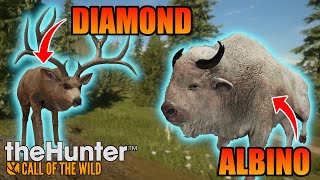 We had INSANE Luck On This Hunt  theHunter Call of the Wild  Silver Ridge Peaks [upl. by Eskil]