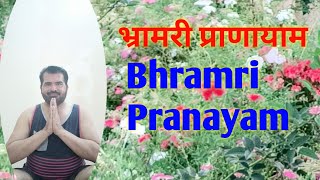 Bhramri pranayam bhramari pranayama rakeshrajouriya [upl. by Nedyarb]