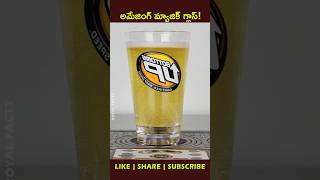 Beers🍻 from the bottom uphow factsintelugu youtubeshorts shortvideo [upl. by Nerraf]