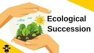 Ecological SuccessionPrimary and Secondary [upl. by Jaymie]