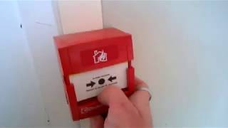 Test alarme incendie 4  petite école [upl. by Douty434]