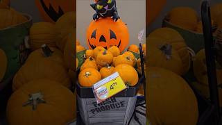 Sobeys Halloween Pumpkins🎃 [upl. by Cindra132]