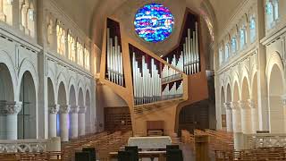 John Weaver  Toccata organ Ignace Michiels [upl. by Aniras690]