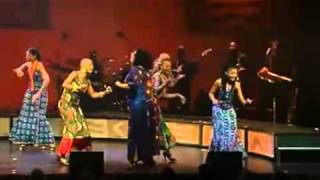 Video The African Mamas in Nederland 2011 [upl. by Annaihr]