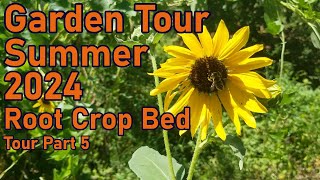 Summer Garden Tour Series 2024 Part 5  Root Crop Garden Bed  Texas Cross Timbers Permaculture Farm [upl. by Oab]