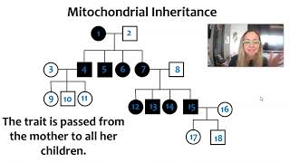 AP Biology Topic 54 Nonnuclear Inheritance [upl. by Anaehs]