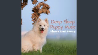 Dog Sounds [upl. by Base738]