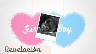 Revelando el género de mi bebé 🤰🩰🍼 Gender Reveal ✨💓 Boy or Girl ✅🌼🌼 [upl. by Delos]