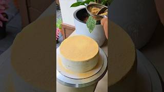 Russian Medovik Honey cake honeycake honeycakerecipe cakedecorating cake youtubeshorts [upl. by Aia92]