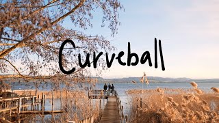 The Charming Tools  Curveball Lyric Video [upl. by Yesdnik]