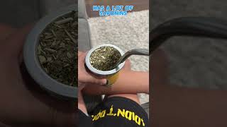 Yerba Mate Health Benefits Pt2 shorts [upl. by Annahoj]