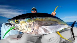 MASSIVE Yellowfin TunaCatch Clean Cook [upl. by Jania387]