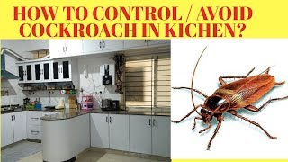 6 TIPS TO GET RID OF COCKROACHES AT HOME  HOW TO GET RID OF COCKROACHES IN KITCHEN தமிழில் [upl. by Duntson]