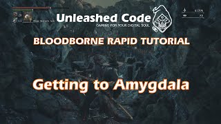 BloodBorne  Getting to Amygdala The Great One [upl. by Naujaj]