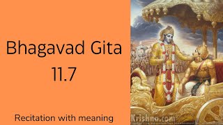 Bhagavad gita 117 recitation with meaning and explanation  Chapter 11 Verse 7 [upl. by Burroughs]