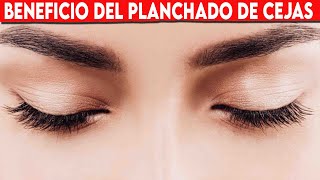 🔴 Beneficios DEL PLANCHADO DE CEJAS Para La Salud ✅ Porque PLANCHAR LAS CEJAS [upl. by Ennovoj300]