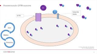 Webinar quotFibrosis Quística presente y futuroquot in Spanish [upl. by Hagan]