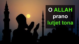 O Allah prano lutjet tona [upl. by Trainor]