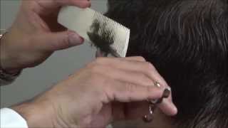 How To Cut Hair With Scissors  Scissor Over Comb  Part 3 [upl. by Vanhomrigh973]