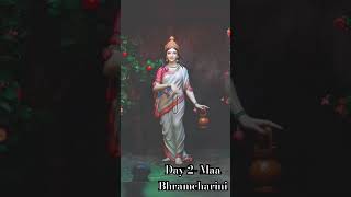 Jai Maa bharmcharini jaimaavaishnodevinavratriday2jaimatadimerimaabhagwatimatamataranijaimaa [upl. by Ltsyrk101]