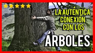 Aprende a CONECTAR con los ARBOLES 🌎🌳🌳 [upl. by Shani254]