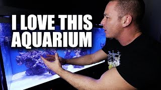 EASY saltwater aquarium setup [upl. by Rawde]