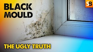 The Ugly Truth About Black Mould [upl. by Damle644]