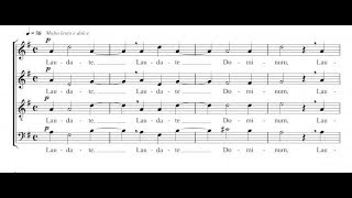 Laudate Dominum  Sebastiaan Van Steenberge  Vocaal Ensemble Markant [upl. by Keegan820]