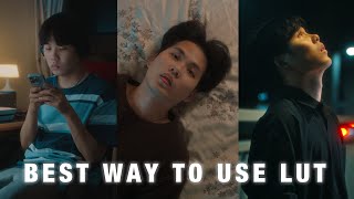 Best Way To Use LUT  Davinci Resolve [upl. by Ratib615]