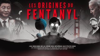 Crise du Fentanyl Les Origines de lÉpidémie qui Décime lAmérique [upl. by Aner]