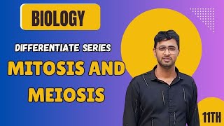 Difference Between Mitosis And Meiosis  Class 8th9th11th  Comparision Series [upl. by Durwin]