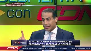 El PLD escogerá este domingo su presidente y secretario general [upl. by Ripleigh510]