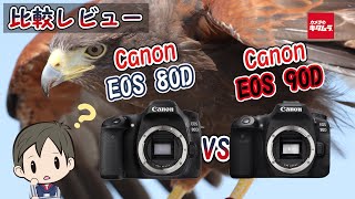 【カメラ比較】キヤノンの一眼レフEOS 80DとEOS 90Dの違いとは！？ [upl. by Rehpotsirhk951]