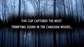 5 Scary Unexplained Sounds Recorded From The Woods…  Headphones ON Challenge [upl. by Evaleen]