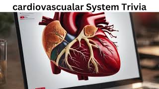 cardiovascular system trivia Revised [upl. by Enilorac]