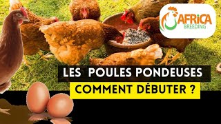 5 Étapes Pour Débuter lÉlevage des Poulets Pondeuses Facilement [upl. by Morena17]