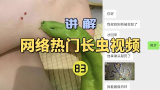 4K  网络热门长虫视频83粉丝说他叔叔被毒蛇咬伤！拿假照片找龙雅鉴定？结果竟然是个大青椒！【世界记忆大师龙雅】 [upl. by Kobylak]