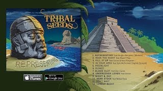 Tribal Seeds  Herb Stock ft Mykal Rose OFFICIAL AUDIO [upl. by Bollinger]