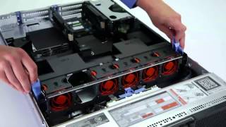 Dell Precision Rack 7910 Remove Fan amp Fan Assembly [upl. by Garek63]