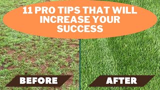 Overseeding Lawn 11 tips that will ensure your success [upl. by Binnie299]