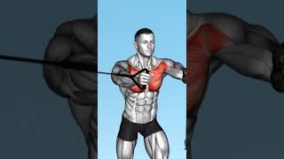 Bigger Chest workout with cables shorts chestworkout shortvideo short gymmotivation [upl. by Yticilef]