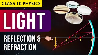 Light  Reflection amp Refraction FULL CHAPTER in Animation  NCERT Science  CBSE Class 10 Chapter 1 [upl. by Gensler10]