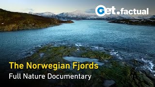 The Norwegian Fjords  Life in the Twilight  Full Nature Documentary [upl. by Aivilys]