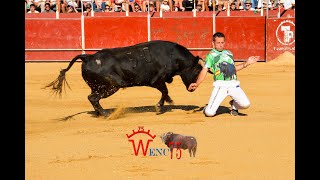 CONCURSO DE RECORTES DE BOADILLA DEL MONTE PRIMER TORO [upl. by Lupien]