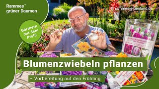 Blumenzwiebeln pflanzen – Vorbereitung auf den Frühling [upl. by Furgeson]