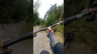 Dyfi bike park sendit mtbsend gooro pov shred dyfibikepark [upl. by Milak]