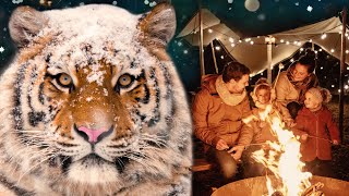 Warme Winteravonden 20232024 ✨  Kerstvakantie  DierenPark Amersfoort [upl. by Annodam]