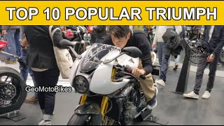 Top 10 Most Popular Triumph Motorcycles You Can Enjoy 2025 [upl. by Haroppizt147]